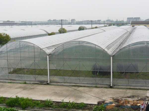 連棟大棚