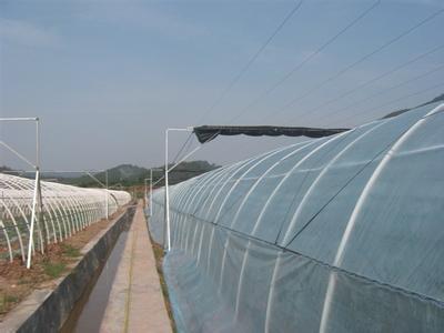 大棚骨架